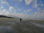 PICT0907