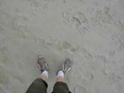 PICT1027